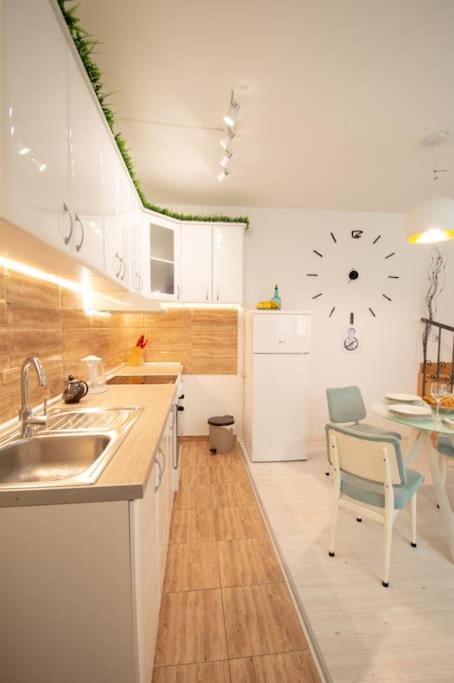 Central Duplex Apartment Нови-Сад Экстерьер фото