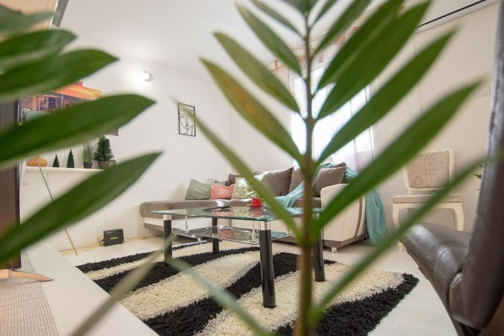 Central Duplex Apartment Нови-Сад Экстерьер фото